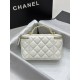 Chanel Perforated Handle Flap Bag