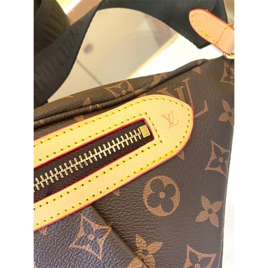 LV Waist Bag