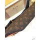 LV Waist Bag