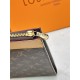 LV POCHETTE JOUR Handbag