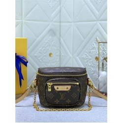 LV Mini Bumbag Handbag