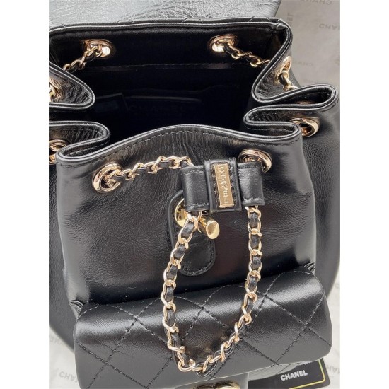 Chanel DUMA Backpack